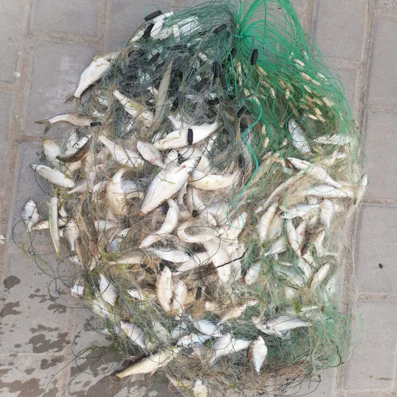 渔网丝网捕小鱼网三层沉网单层浮网挂子网白条鲫鱼鲢鱼沾鱼网 三层1.