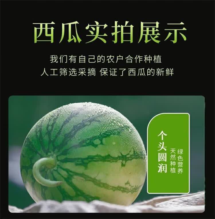 麒麟西瓜 正宗无籽8424薄皮整箱新鲜水果非.黑.美.