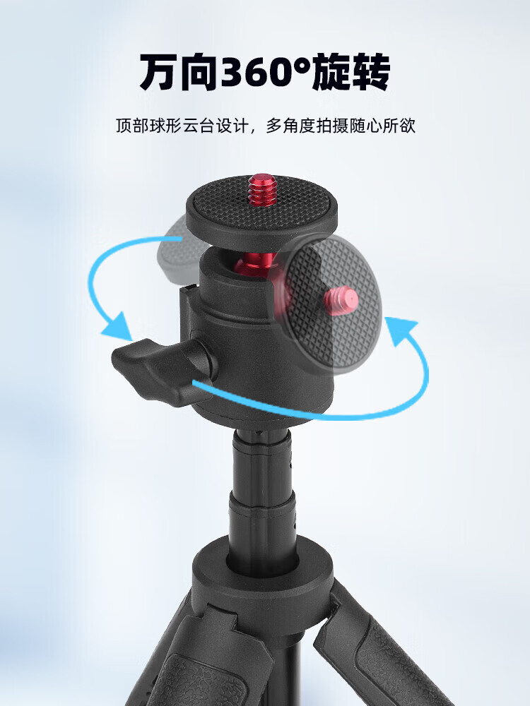 786da23ee95ab397.jpg