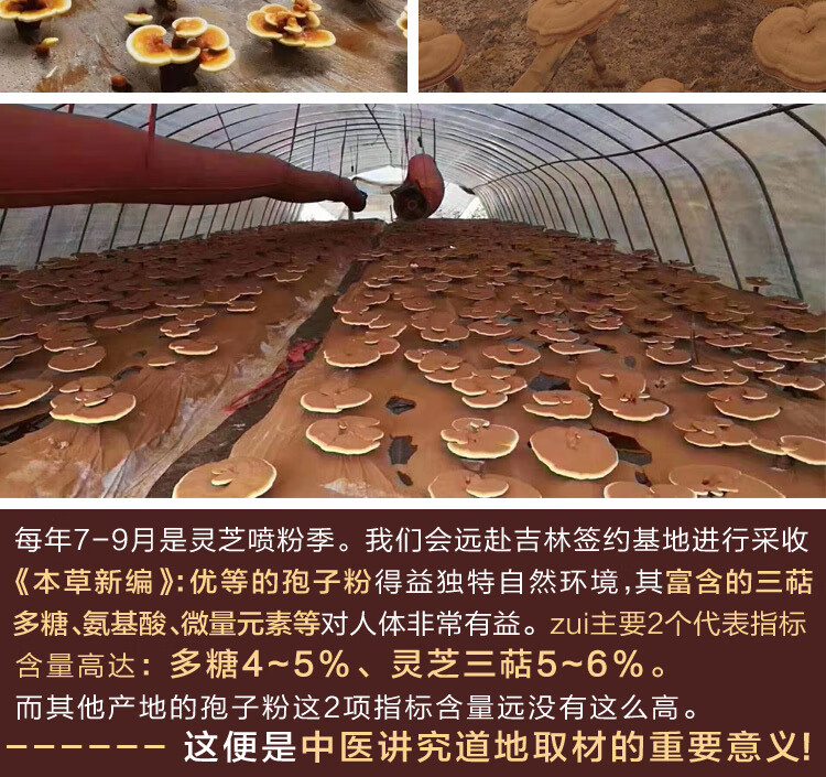 45b9f8cfa9137585.jpg
