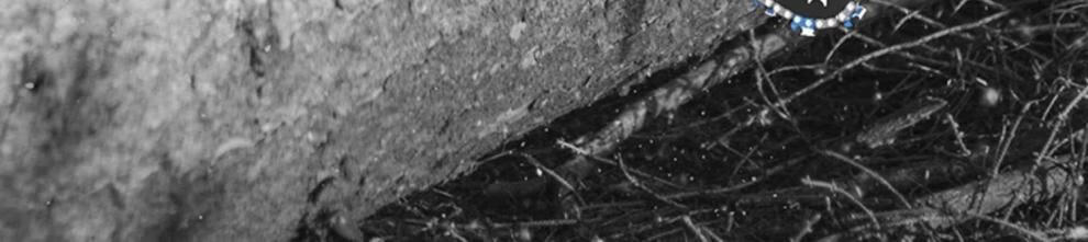 ab00d69b29c8b961.jpg