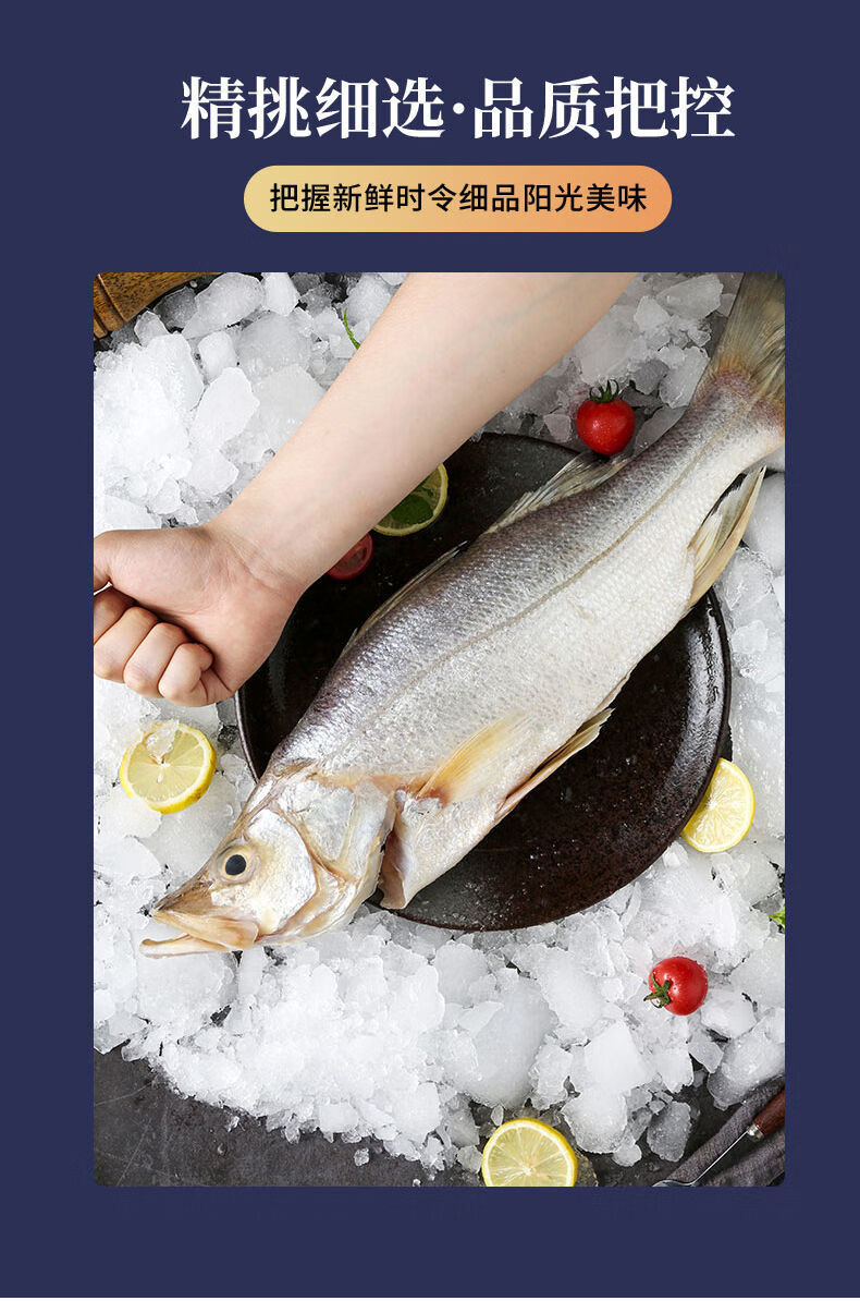 新鲜特尖嘴大鲈鱼鲁鱼芦深海鲜冻卢鱼冷冻尖嘴鱼黄金批发真空包装 君