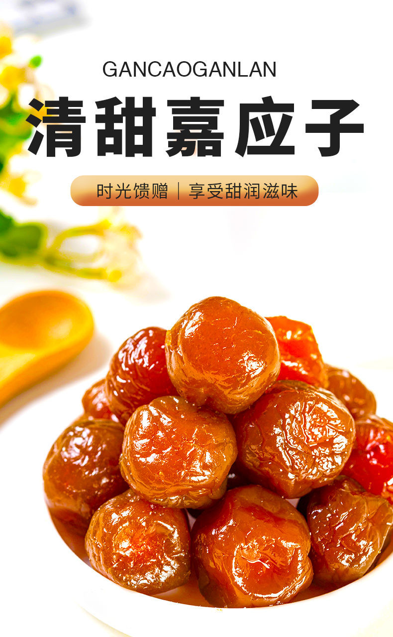加应子嘉应子120g袋装正宗李子干李梅梅子蜜饯果脯办公室零食 酸甜乌