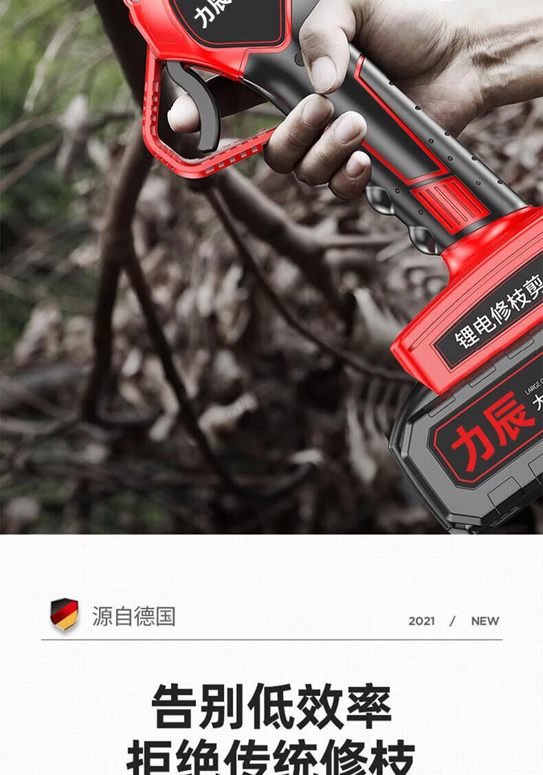 24b2159e6da3c1dd.jpg