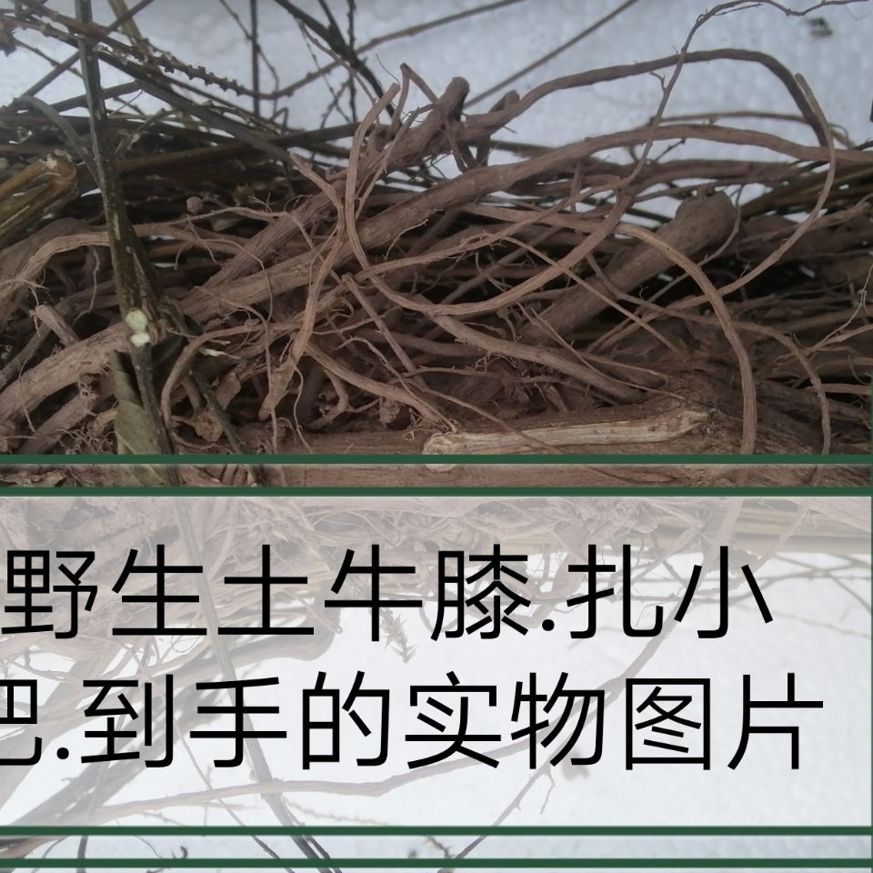 伟博 土牛膝 鸡掇鼻 倒扣草 土牛七 白牛膝干品新货 【精选】5斤