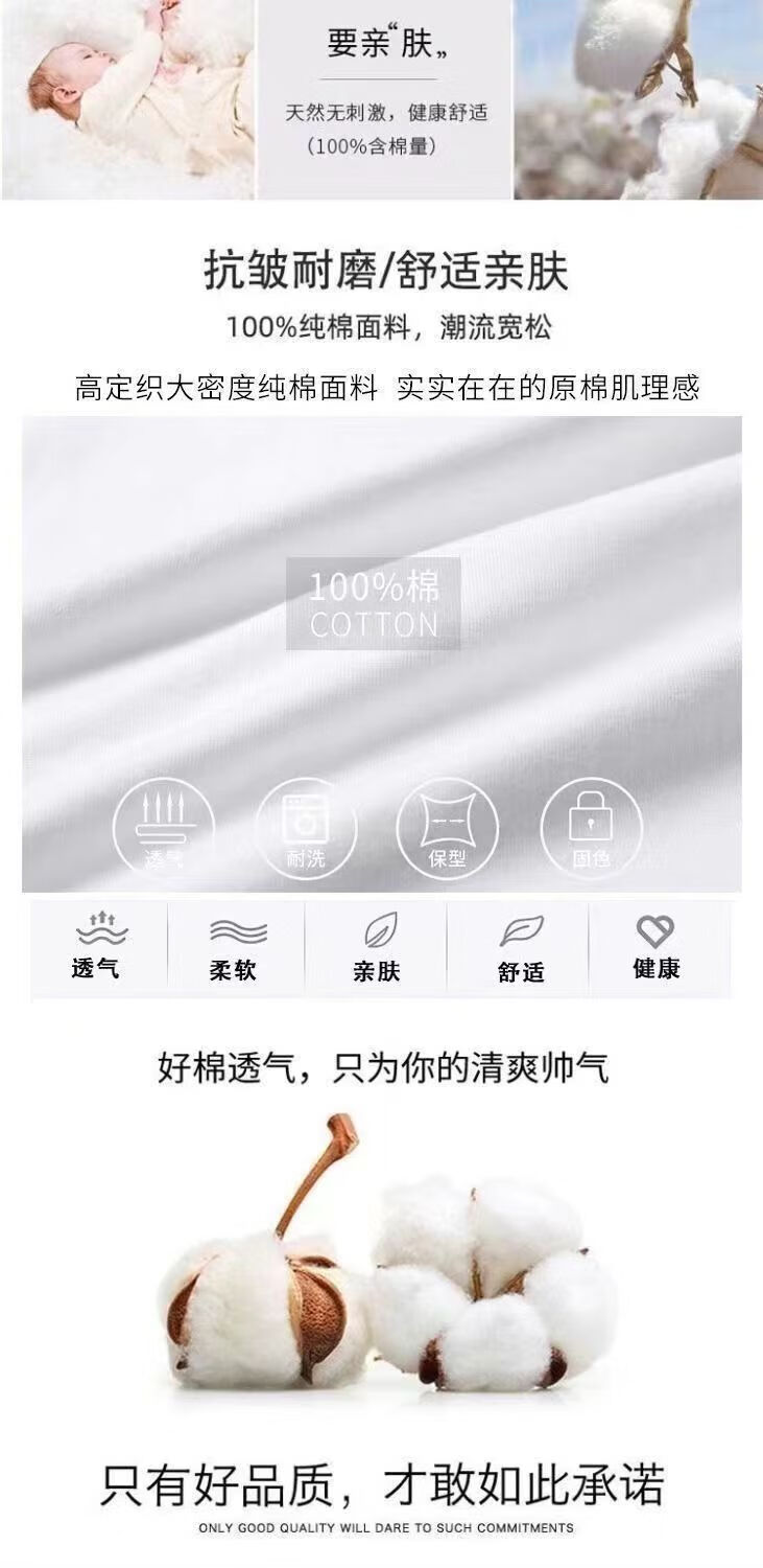 ee7565a8f73387fb.jpg