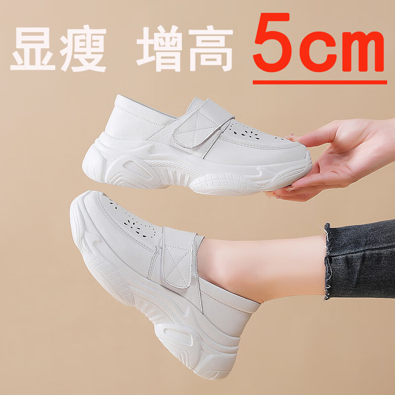 a53d078c6dbeb8ac.jpg' style=