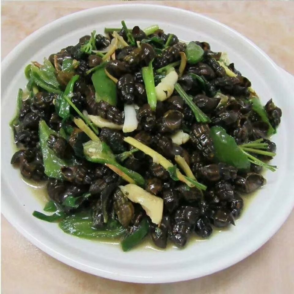 扭纹螺鲜活深山山坑螺爽口山坑螺螺丝螺水产半斤品尝价