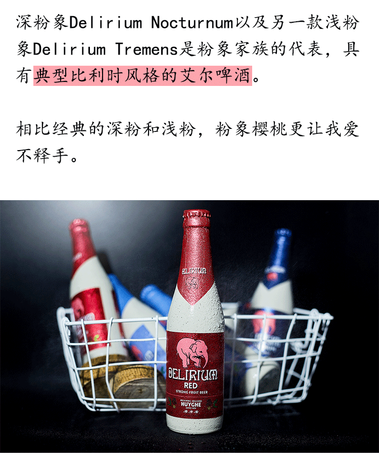 比利时进口小粉象樱桃粉象啤酒深粉象浅粉象精酿粉红小象啤酒组合樱桃