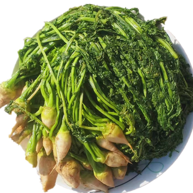 东北芥菜英子芥菜缨子芥菜疙瘩芥菜樱子5斤农产品1000g