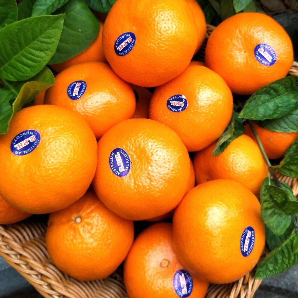 贝娇芬 现货澳大利亚澳桔2ph澳柑一口爆汁橘子进口蜜桔新鲜孕妇水果 8