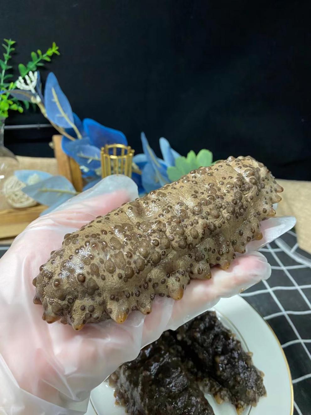 美国进口野生淡干肥仔海参南美参 墨西哥刺参40到60头500克 15-20只