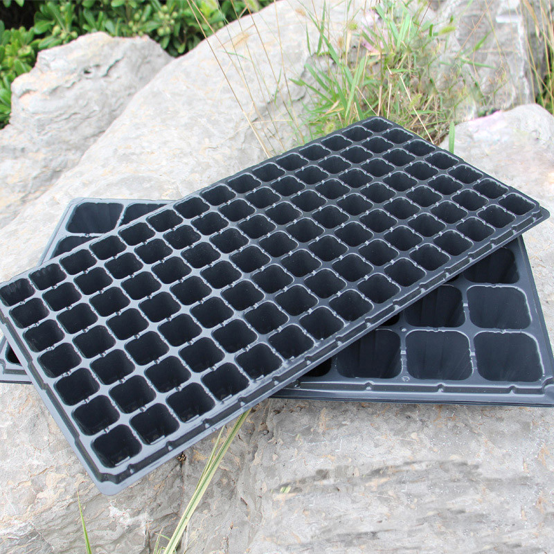 穴盘育苗盘多孔育苗盒育苗箱芽菜盘营养钵穴盆育苗杯秧盘 育秧盘 普通