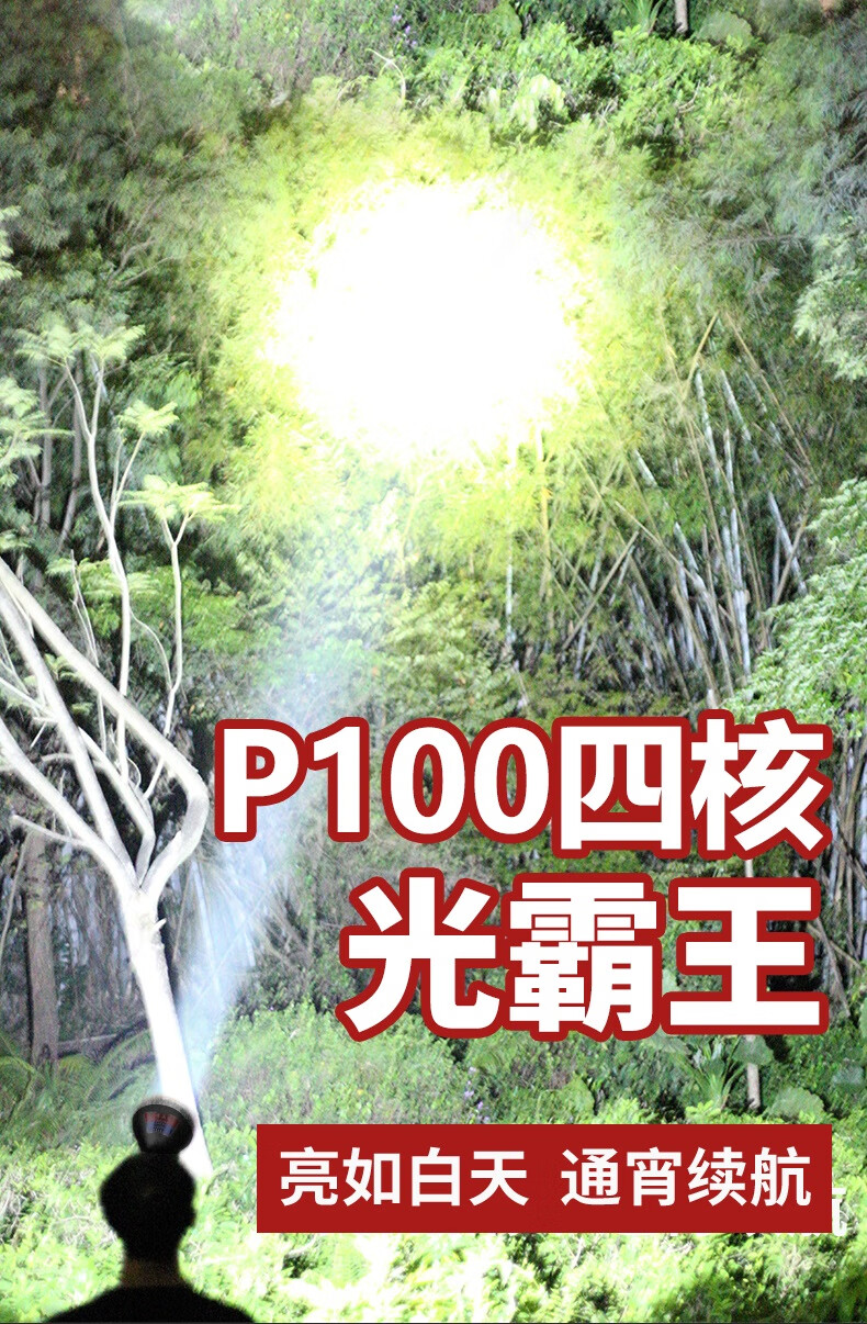 e6782dee248fddc8.jpg