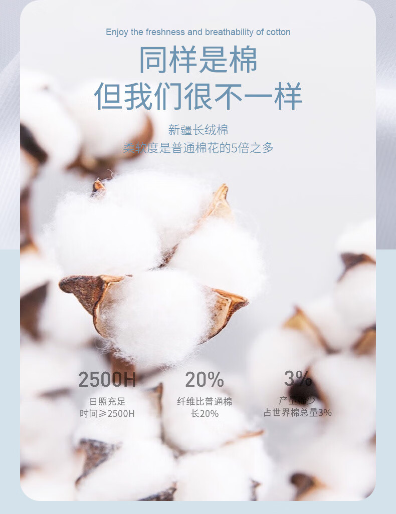 51a966ca120dc0bb.jpg