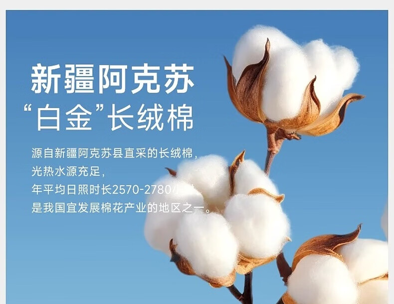 cbb52cd529b8e8cd.jpg