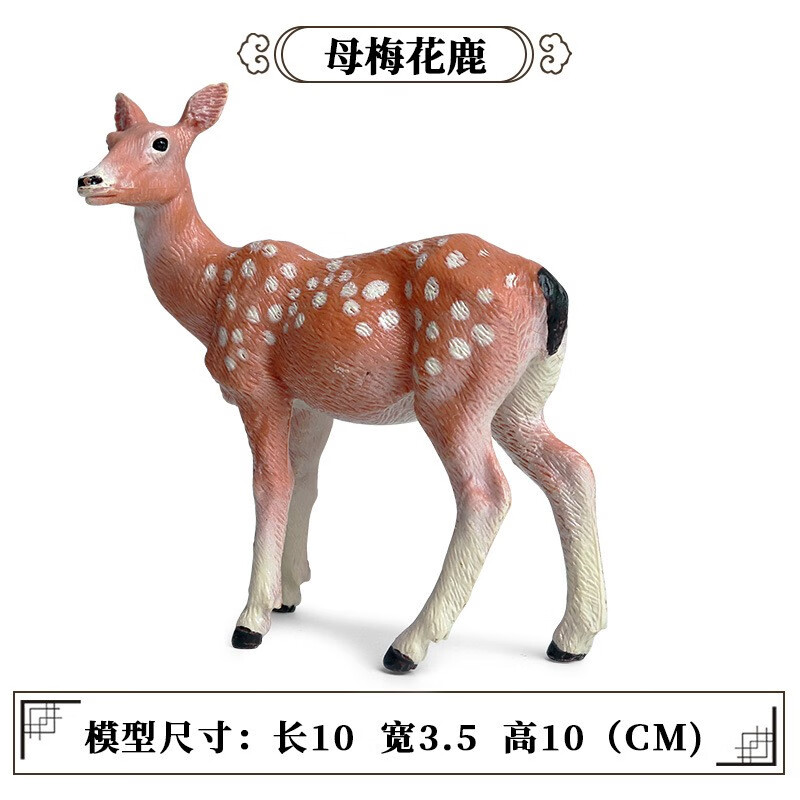 a1074c7f396d8d2f.jpg