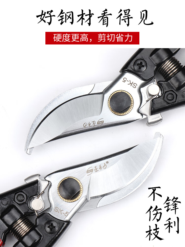 977ff990d19fe910.jpg