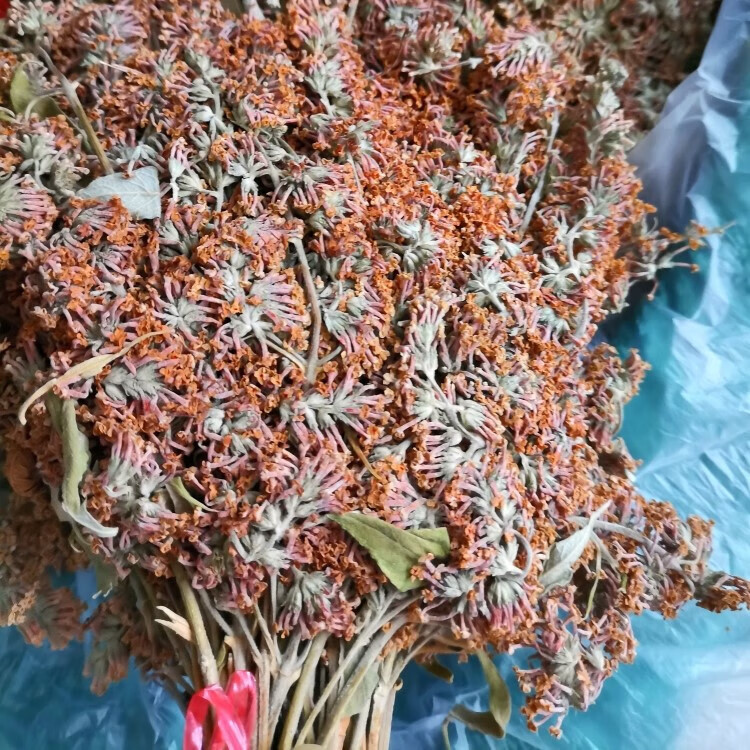 云南德宏野生染饭花密蒙花五色糯米饭植物染料黄饭花小锦花250克 红色