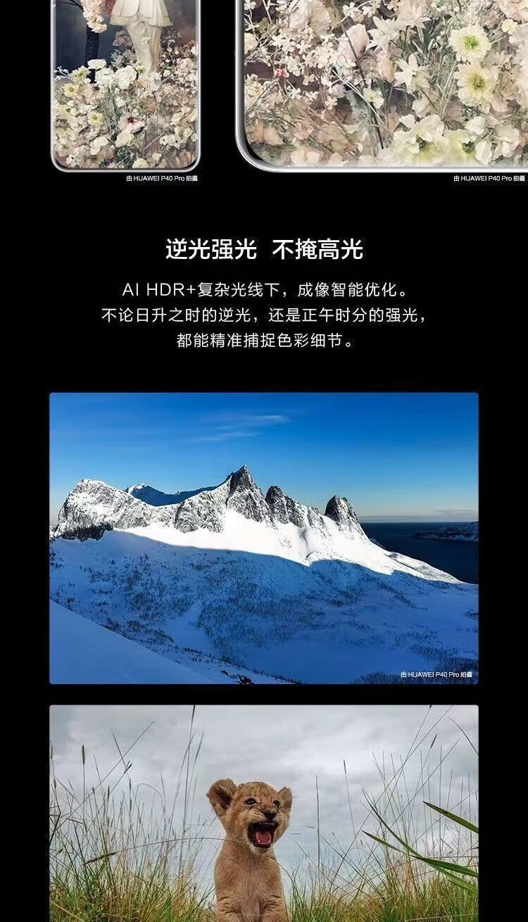 e53c20d1a2efc3b6.jpg' style=