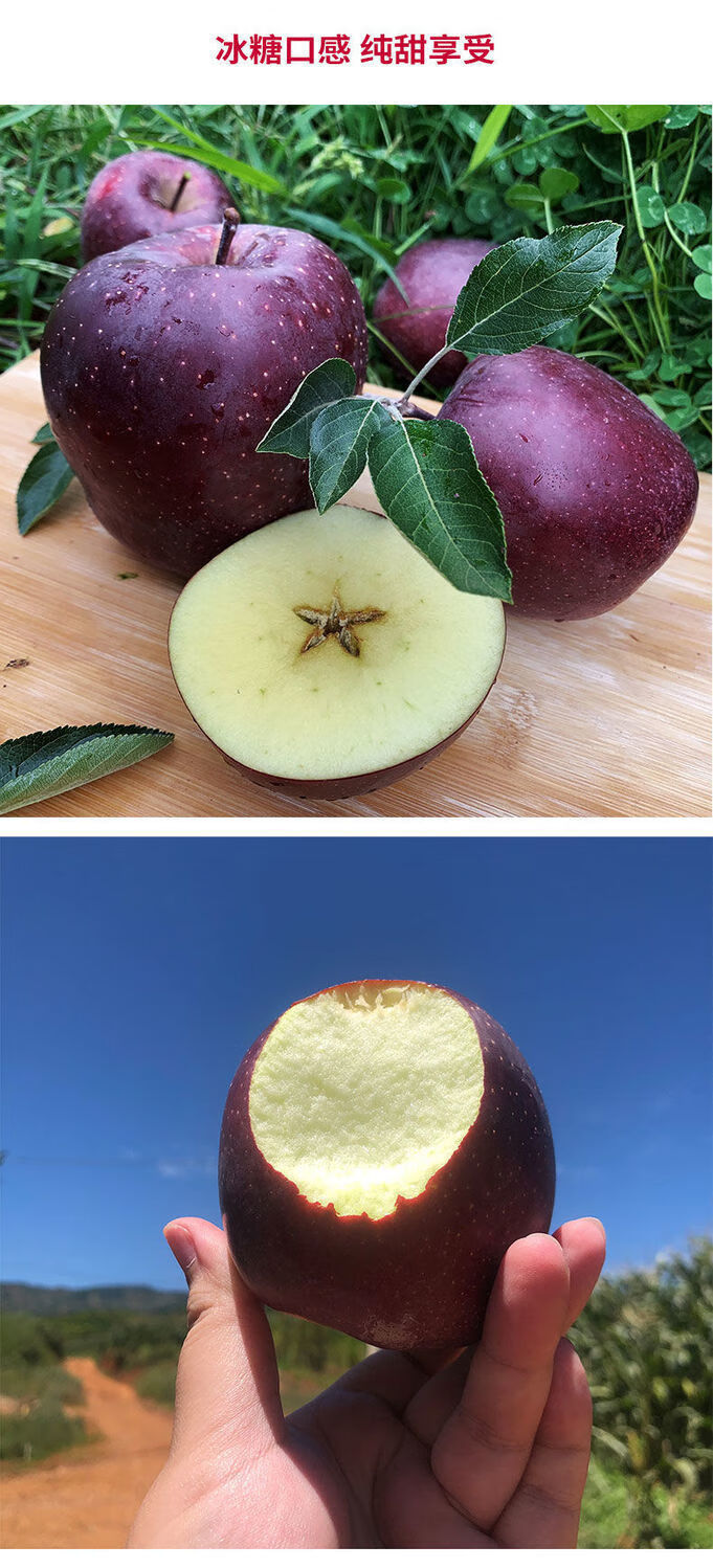 新鲜不常见水果稀有特级黑苹果罕见整箱10斤嘎啦黑钻石苹果黑卡平果