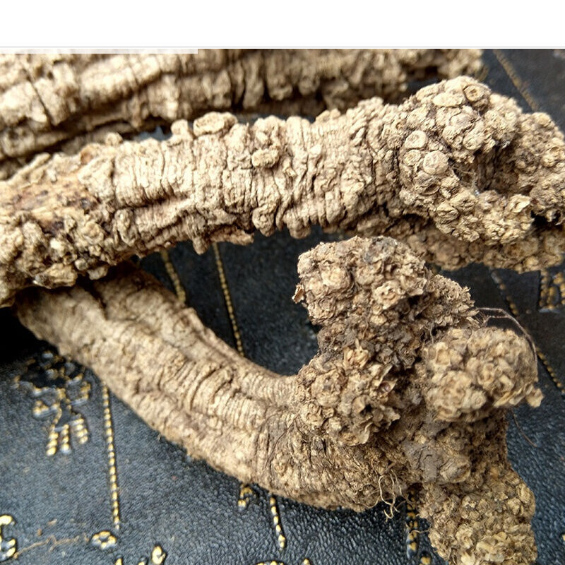 野生党参深山采挖岷县党野党参狮子头土纹潞党参上党参【图片 价格