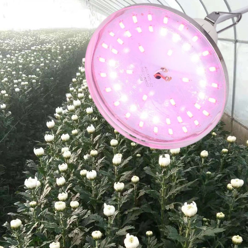 反季节火龙果补光专用改变花周期菊花专用植物生长补光灯 15w火龙果灯