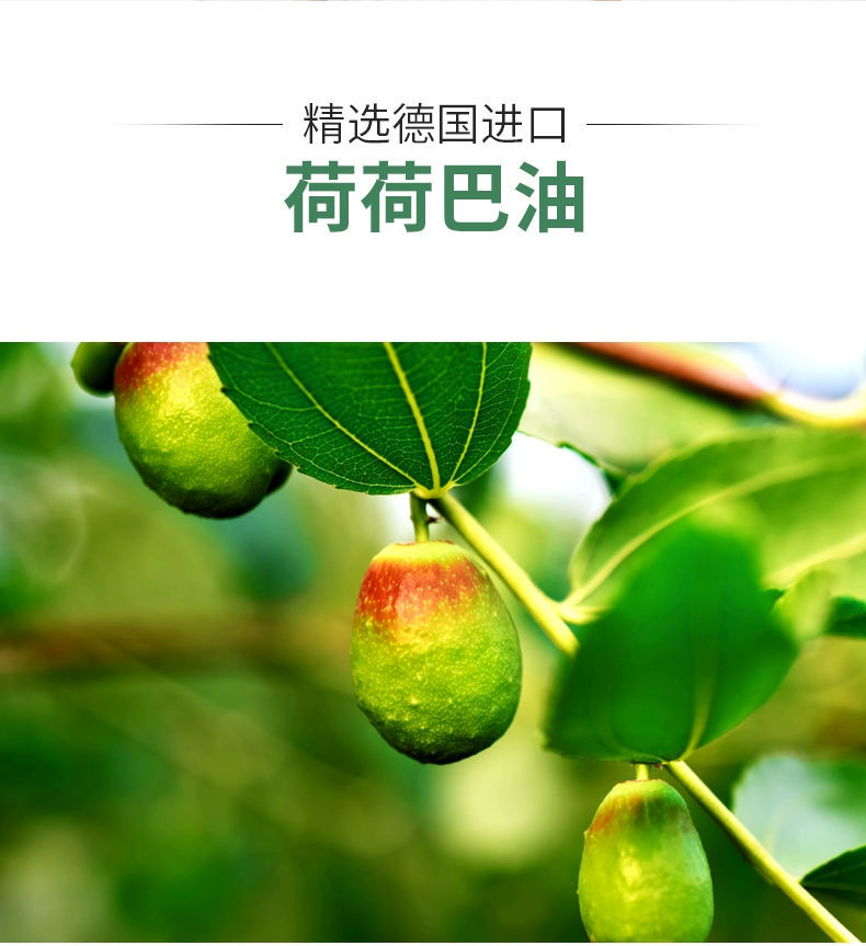 霍霍巴油荷荷巴油去黑头精油霍霍溶解祛护肤脸部面部按摩马迷纯露