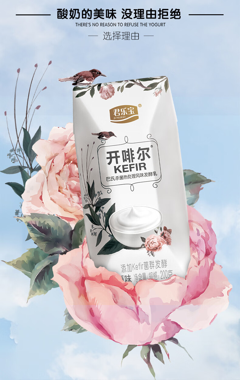 开菲尔酸奶 酸奶原味草莓味混合开菲尔8种益生菌发酵 原味12杯快递装