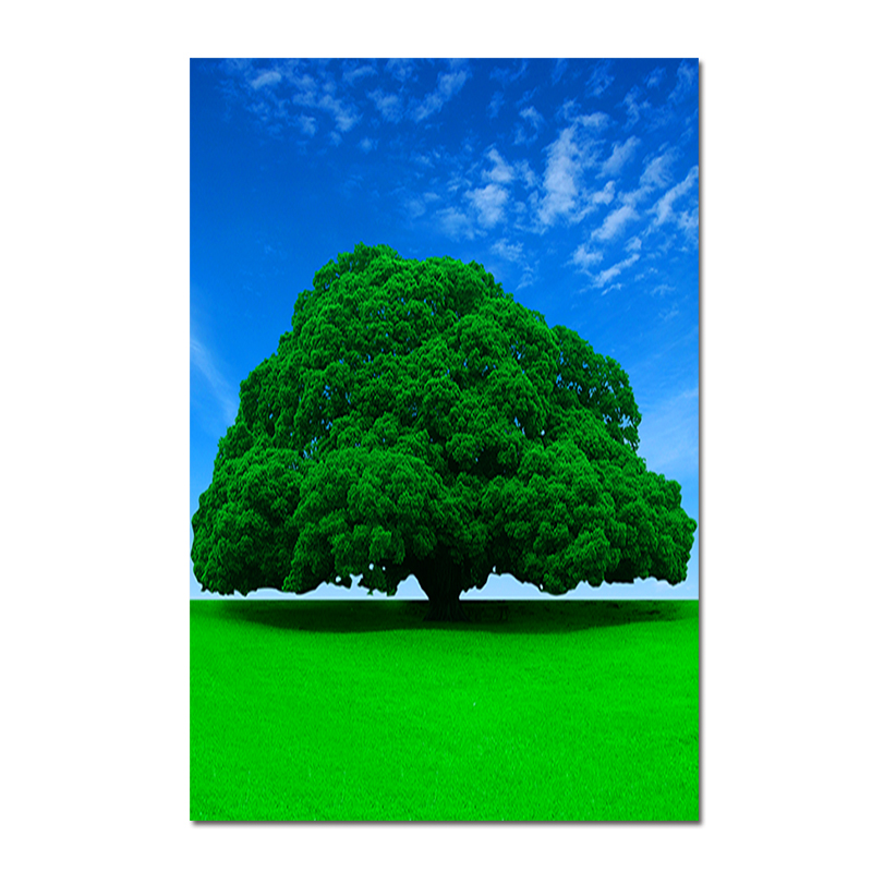 绿色大树树木贴画蓝天白云草地一棵大树自粘壁画客厅玄关挂画海报 s3