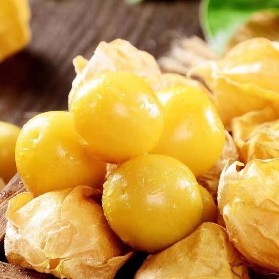 菇娘果黄姑娘灯笼果洋菇娘果东北特产黄金豆新鲜应季水果整箱 【来自