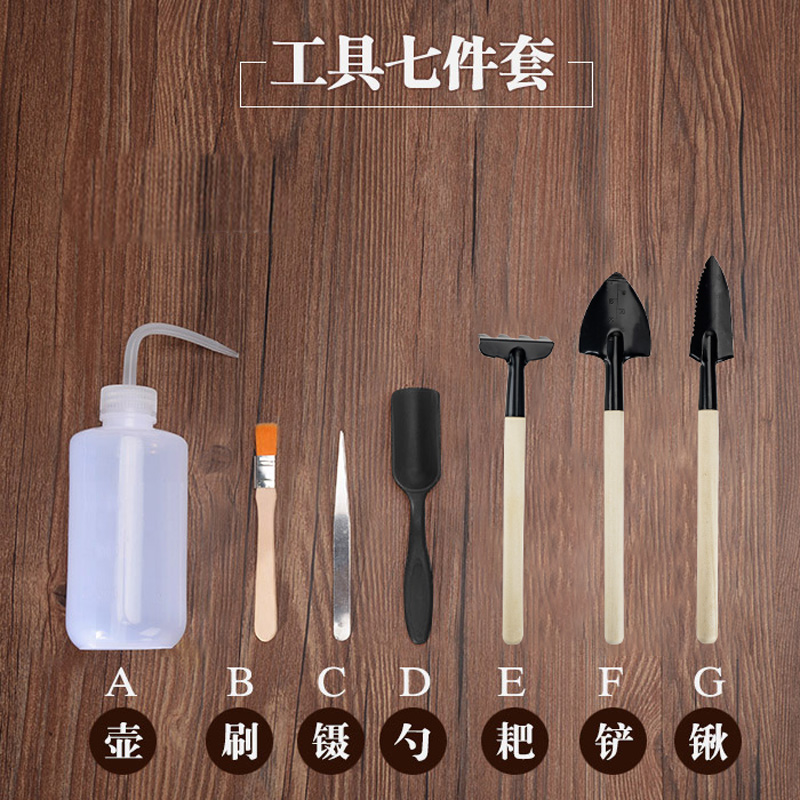 多肉植物种植工具组合套装养花迷你园艺用品肉肉盆栽多肉工具家用 蓝9
