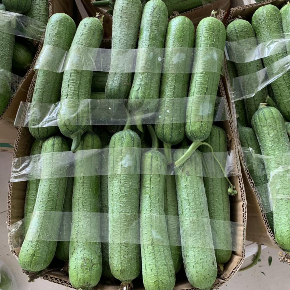肉丝瓜新鲜蔬菜农家水瓜香丝瓜短棒 500g【图片 价格 品牌 报价】