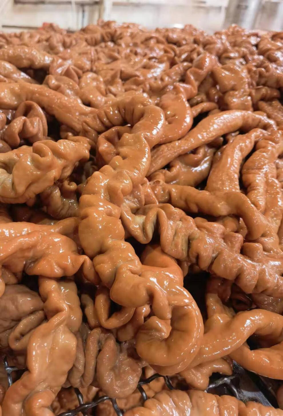 熟肥肠猪大肠新鲜即食卤色猪肥肠免洗食材下酒菜真空熟食猪肥肠卤色