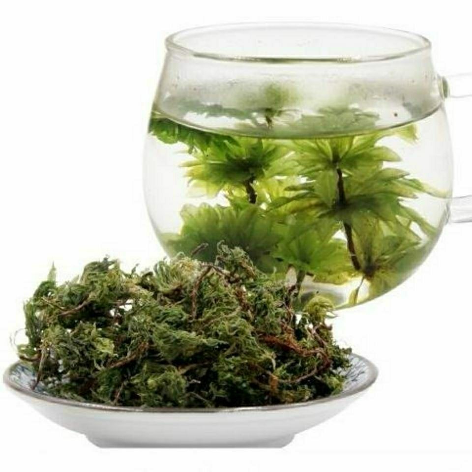 新货云南野生回心草中药材回心草 500g【图片 价格 品牌 报价】-京东