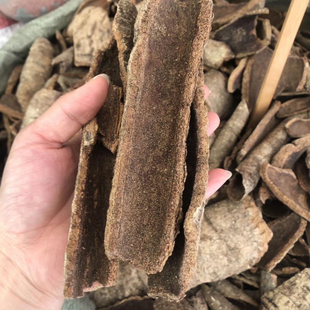 北京同仁堂 原料中药材救必应铁冬青木内廷上用 官方旗舰干品500克