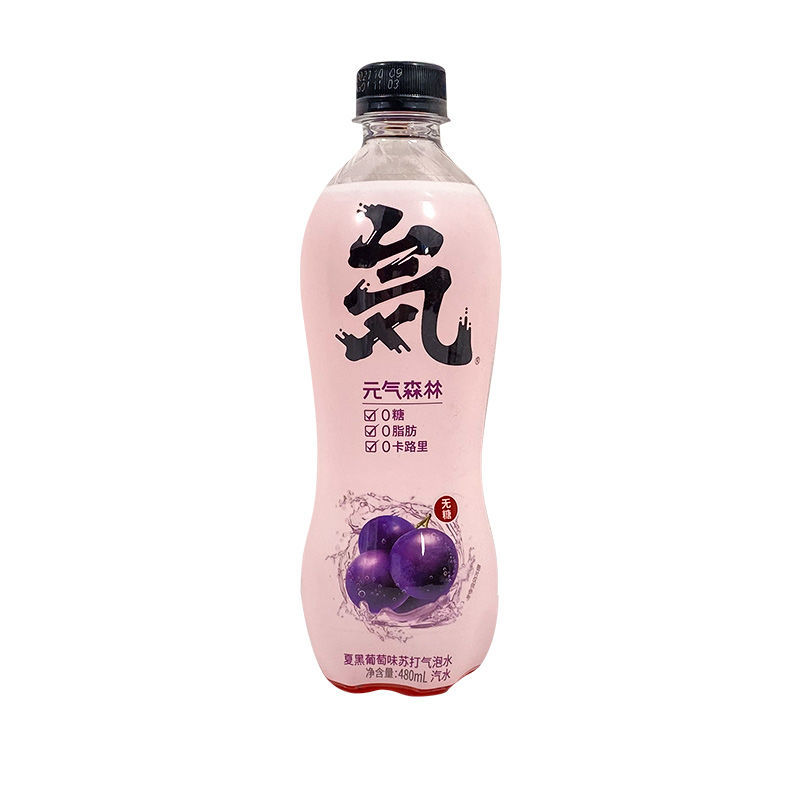 【新日期】元气森林气泡水480ml*0糖0苏打水多口味网红饮料整箱 【12