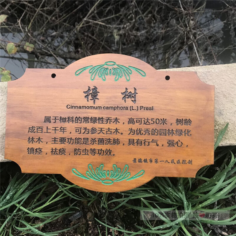 智能家居树木标识牌 树牌实木质花草牌树木牌装饰挂牌植物标识牌悬挂