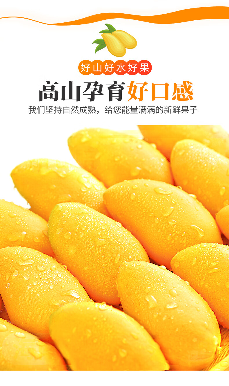 广西小台农芒果 新鲜小台芒 应当季水果热带芒果 爆甜多汁 礼盒装 9斤