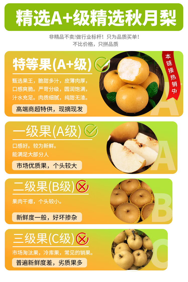 轻恋【产地直发】2022年新梨山东莱阳秋月梨早脆梨