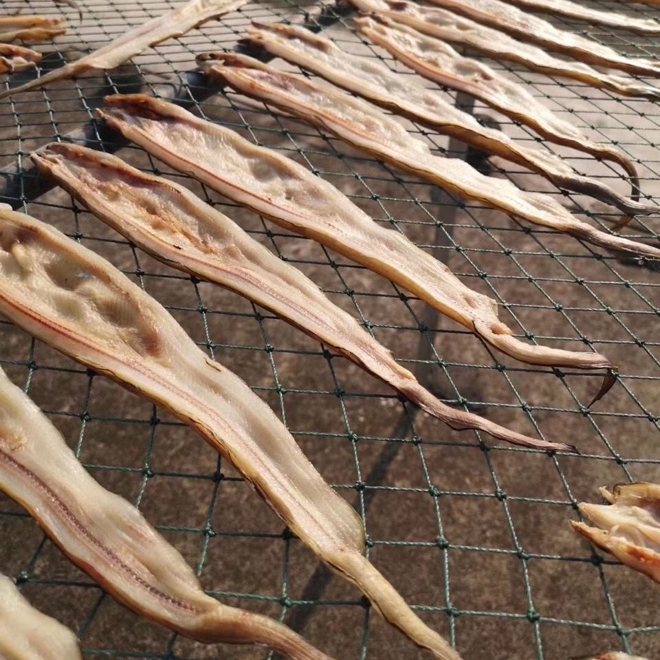 舟山野生沙鳗鲞油鳗干野生船晒六成干沙鳗整条鳗鱼肉特产海鲜干货 大