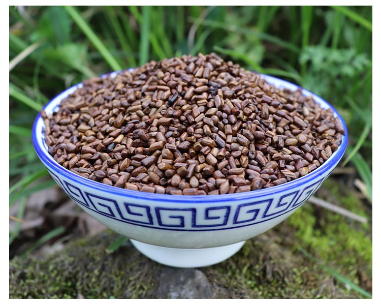 决明子泡茶 野生决明子500g 炒决明子儿童沙滩玩具决明子新货无硫