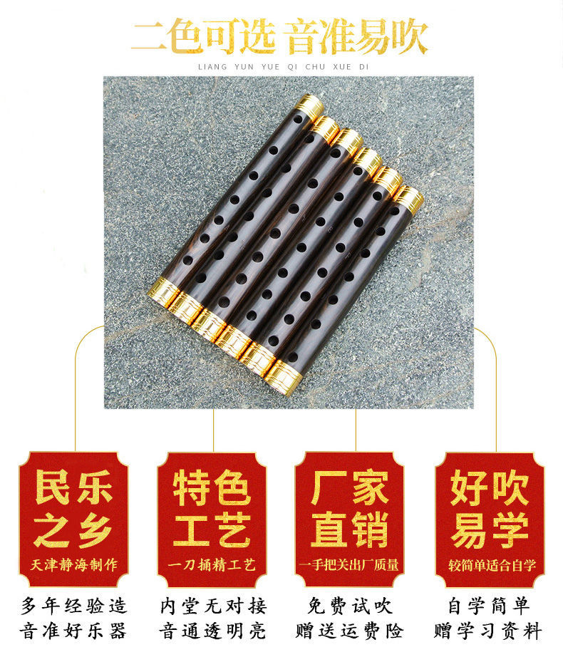 管子乐器初学者d调成年人镀金箍催泪管乌木儿童新手入门ga高锡标配1个