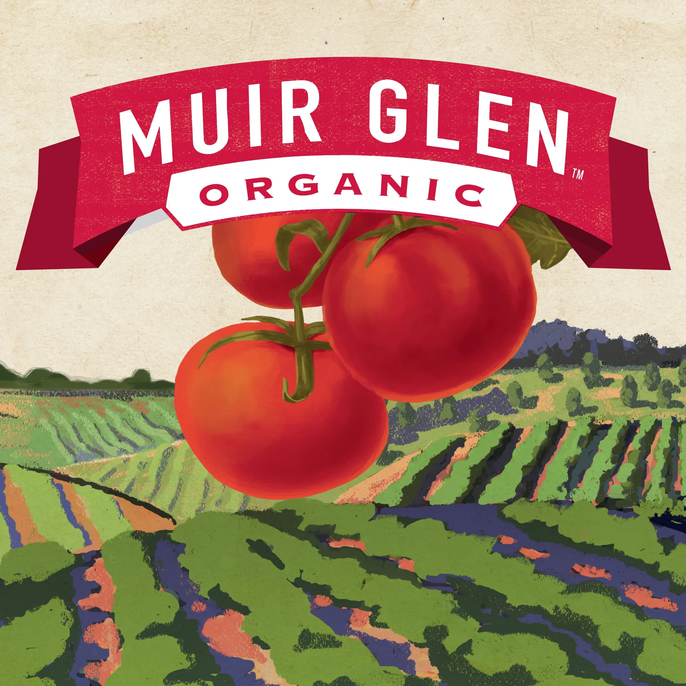 Muir Glen Organic Roasted Tomato cans diced Green chili gluten-free 411g Cooking seasoning cans 14.5 Ounce (Pack of 1) thumbnail 4