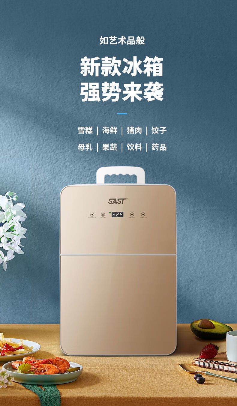 先科sast车载冰箱冷冻结冰先科压缩机宿舍办公室车家两用冷藏迷你冰箱