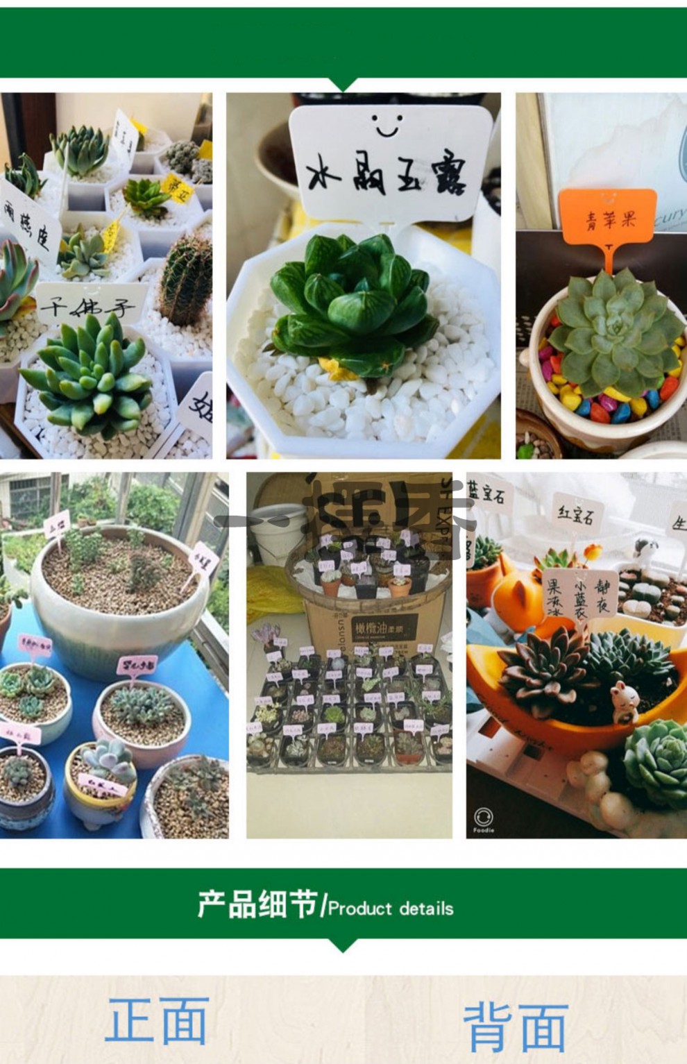苗木花盆塑料多肉标签花卉园艺插地牌多肉植物名字标牌防水小插牌