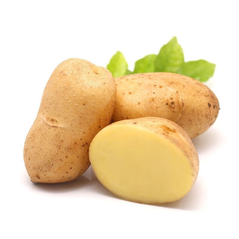 云南新鲜土豆土豆1斤5斤10斤现挖黄心马铃薯蔬菜批发土豆5斤装