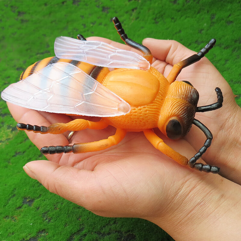 大号昆虫玩具 特大发声软胶仿真昆虫动物模型蜘蛛瓢虫蜜蜂蚂蚱蜘蛛