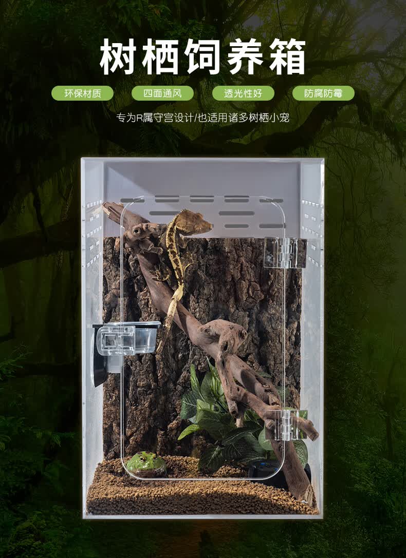 豹纹守宫饲养箱 爬宠箱豹纹睫角守宫树蛙角蛙亚克力树栖饲养箱姥爷蛙