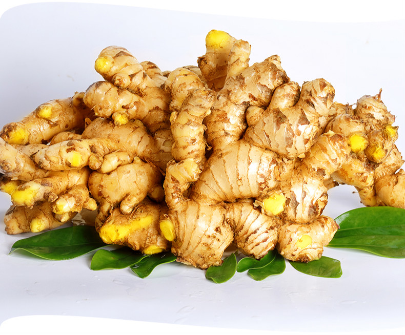 晨臻云南小黄姜新鲜生姜9斤农家老姜小黄姜沙姜 1500g【图片 价格